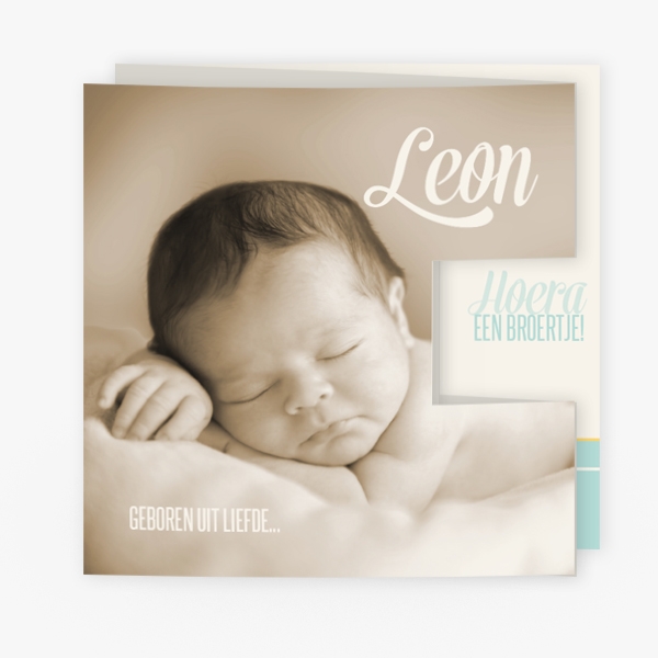 LC301-J Leon